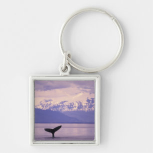 Porte-clés Amérique du Nord, États-Unis, Alaska, Passage Inté