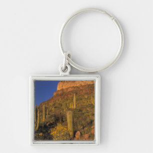 Porte-clés Amérique du Nord, États-Unis, Arizona, Organ Pipe