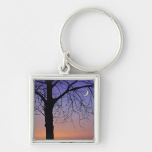Porte-clés Amérique du Nord, États-Unis, Floride, Mt. Dora, l
