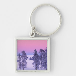 Porte-clés Amérique du Nord, États-Unis, Montana, Yellowstone