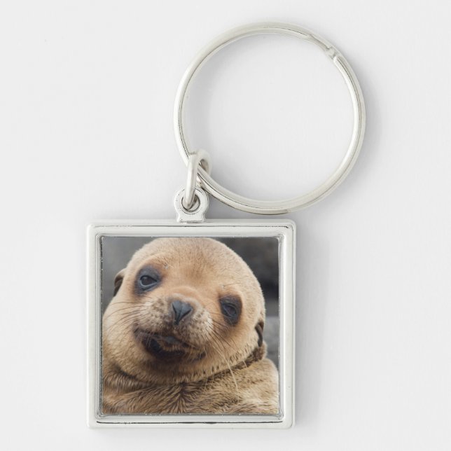 Porte-clés Amérique du Sud, Équateur, îles Galapagos (Devant)