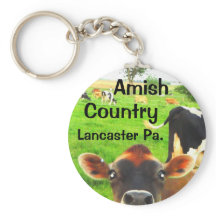Amish Country Cows! Lancaster
