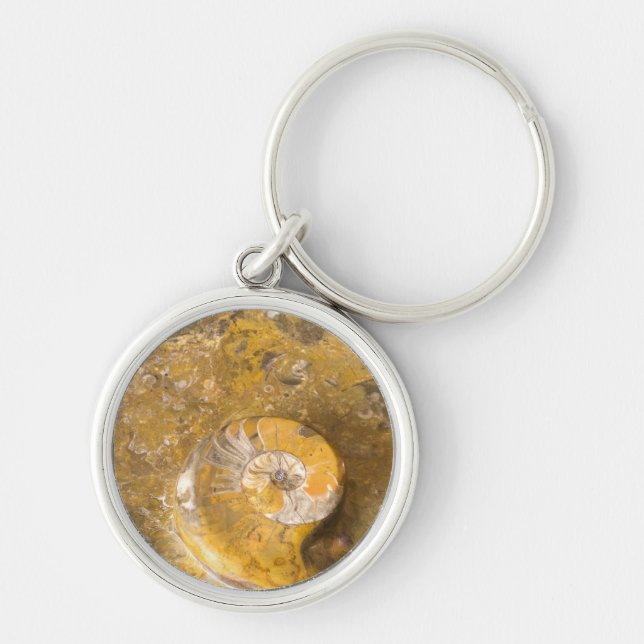 Porte-clés Ammonite et autres fossiles en roche polie (Devant)