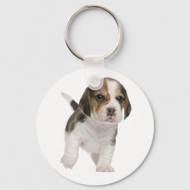 Porte-clés Amour de chiot Beagle (Recto)
