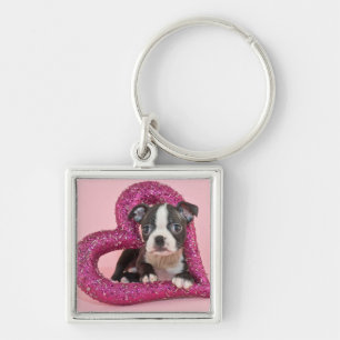 Porte-clés Amour de chiot des images de Getty