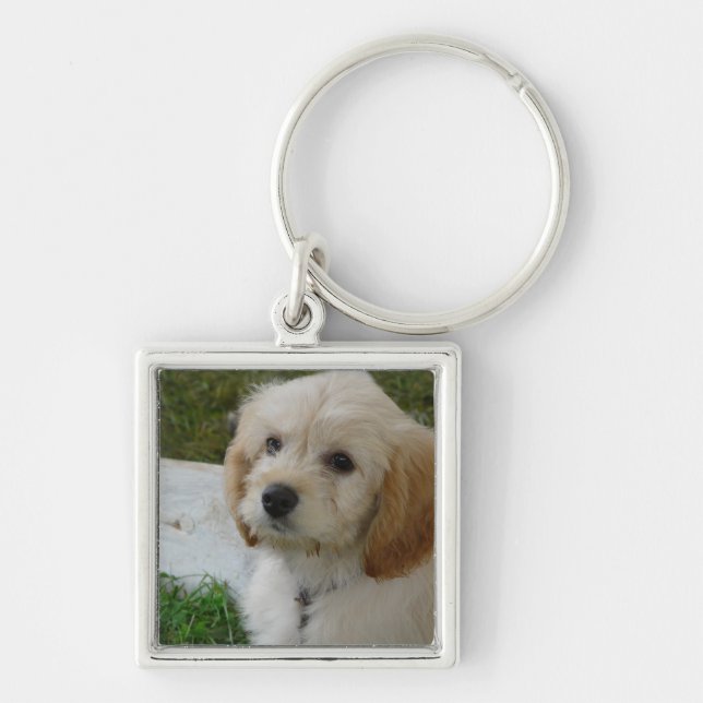 Porte-clés Amour de chiot - photo mignonne de chien de (Devant)