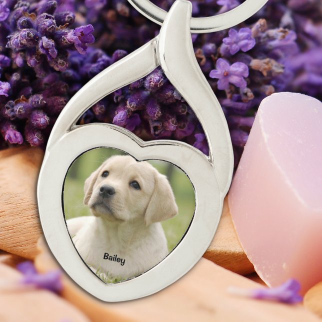 Porte-clés Amoureux des chiens personnalisé de garde photo po