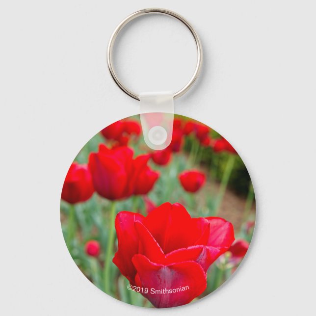 Porte-clés Ampoules d'échappement, gros plan (Recto)