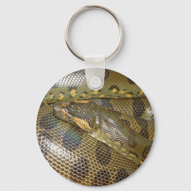 Porte-clés Anaconda vert (Recto)