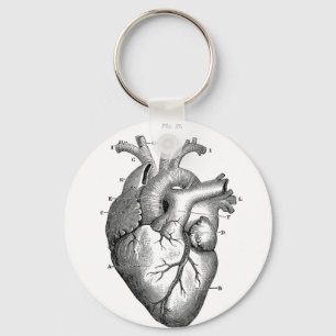 Porte-clés Anatomie-Coeur-Images-Vintage