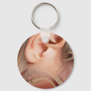 Porte-clés Anatomie des oreilles
