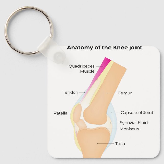 Porte-clés Anatomie du genou (Recto)