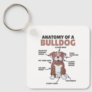Porte-clés Anatomie D'Un Chien À Chien Gros Chien Chien Drôle