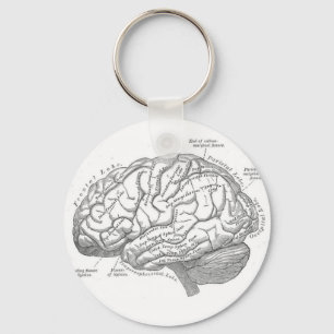 Porte-clés Anatomie vintage de cerveau