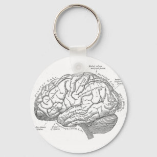 Porte-clés Anatomie vintage du cerveau