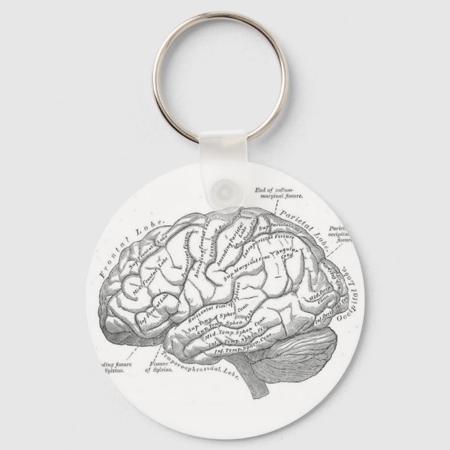 Porte-clés Anatomie vintage du cerveau (Recto)