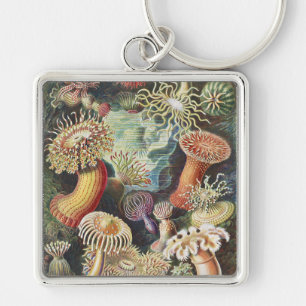 Porte-clés Anémones de mer de Haeckel Collage d'art de vie na
