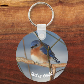 Porte-clés Animal Bluebird d'hiver personnalisé