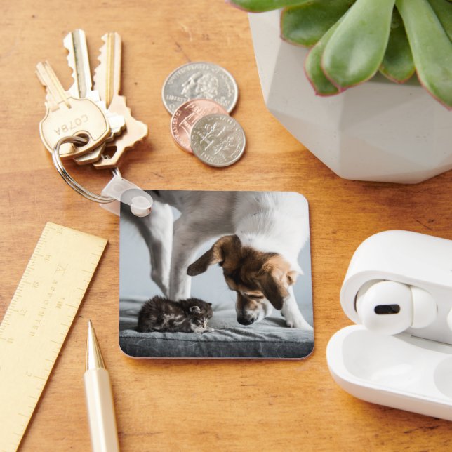Porte-clés Animaux de bébés cutest | Baby Kitten & Dog (Bureau)