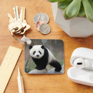 Porte-clés Animaux de bébés cutest   Baby Panda géant