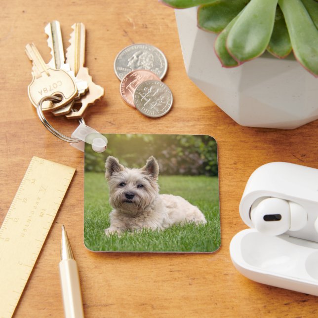 Porte-clés Animaux de bébés cutest | Cairn Terrier Dog (Bureau)