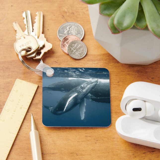 Porte-clés Animaux de bébés cutest | Calf de baleine à bosse (Bureau)