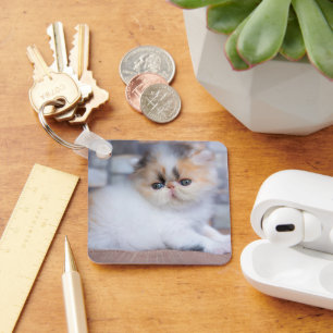 Porte-clés Animaux de bébés cutest   Calico Persian Kitten
