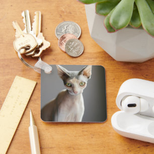 Porte-clés Animaux de bébés cutest   Chat Sphinx