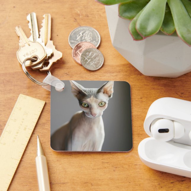 Porte-clés Animaux de bébés cutest | Chat Sphinx (Bureau)