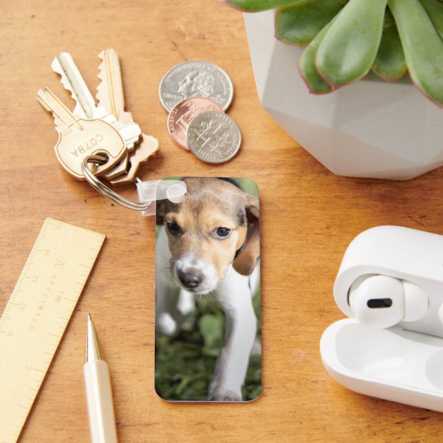 Porte-clés Animaux de bébés cutest | Chiot Beagle (Bureau)