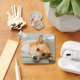 Porte-clés Animaux de bébés cutest   Chiot de Corgi sur canap
