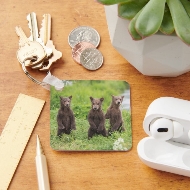 Porte-clés Animaux de bébés cutest | Cubes d'ours Brown Kamch (Bureau)