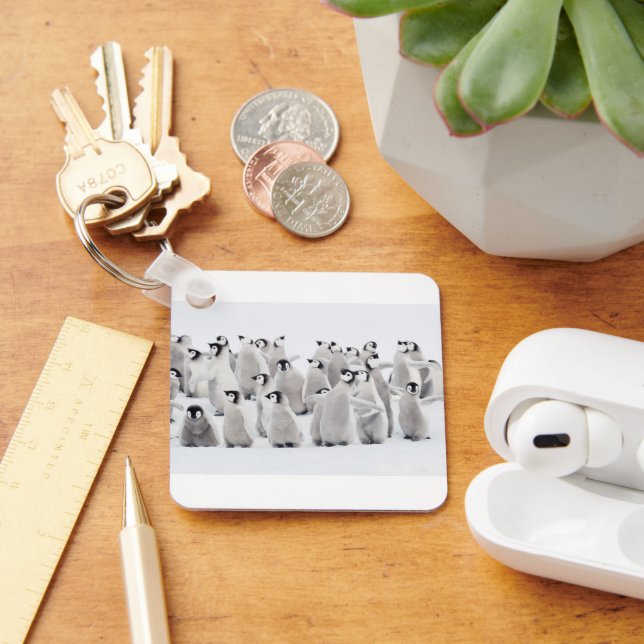 Porte-clés Animaux de bébés cutest | Empereur Penguin Chicks (Bureau)