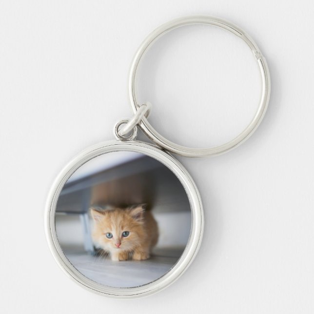 Porte-clés Animaux de bébés cutest | Fluffy Orange Kitten (Devant)