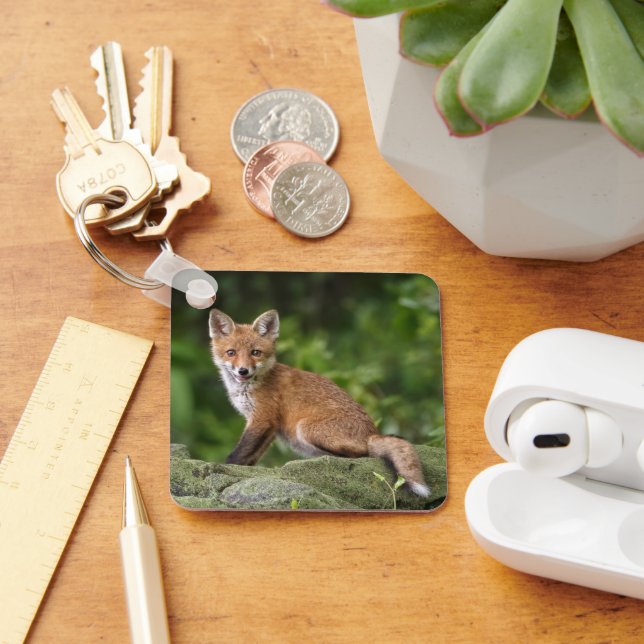 Porte-clés Animaux de bébés cutest | Foxy Smile (Bureau)