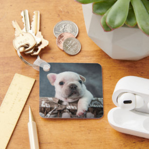Porte-clés Animaux de bébés cutest   French Bulldog