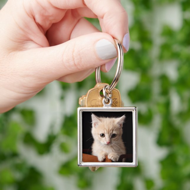 Porte-clés Animaux de bébés cutest | Ginger Kitten (main)