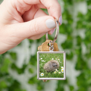 Porte-clés Animaux de bébés cutest Hérisson espagnol