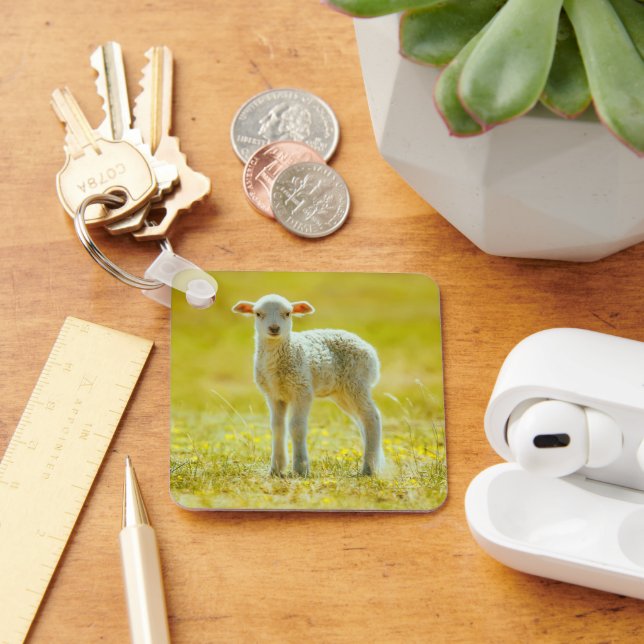 Porte-clés Animaux de bébés cutest | Jeune mouton (Bureau)