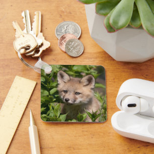 Porte-clés Animaux de bébés cutest Kit Fox