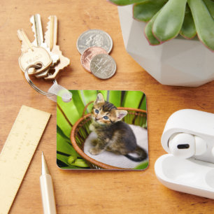 Porte-clés Animaux de bébés cutest Kitten dans le panier
