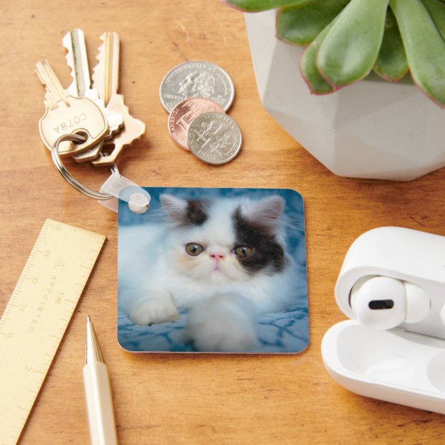 Porte-clés Animaux de bébés cutest | Kitten noir et blanc (Bureau)