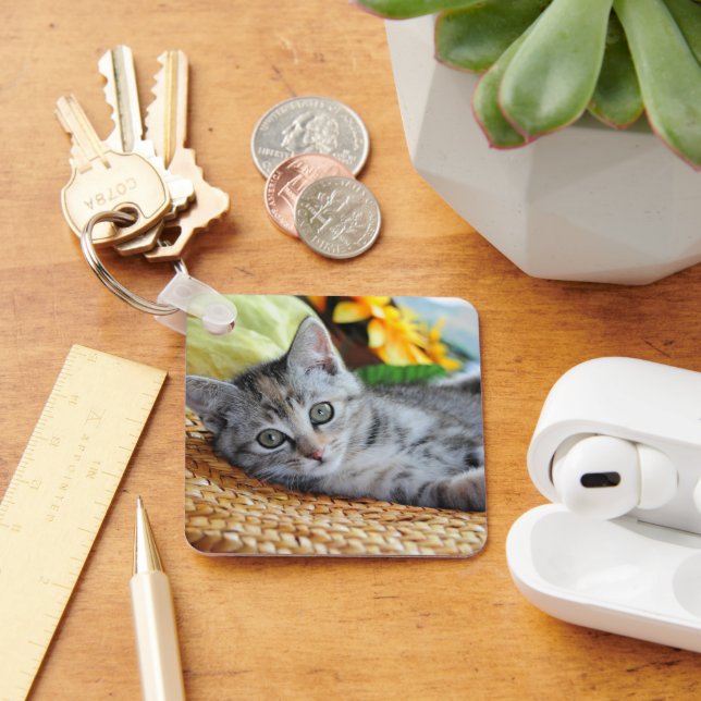 Porte-clés Animaux de bébés cutest | Lounge Kitten (Bureau)