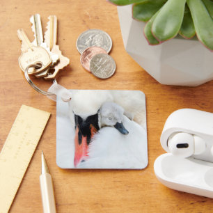 Porte-clés Animaux de bébés cutest Mère et bébé Mute Swan