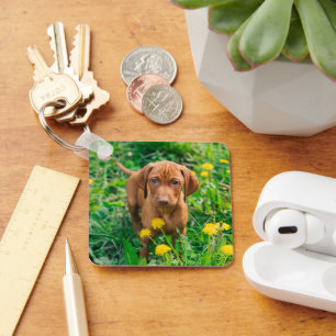 Porte-clés Animaux de bébés cutest   Pointeur