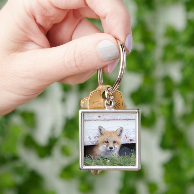 Porte-clés Animaux de bébés cutest | Red Fox Kit Peeking (main)