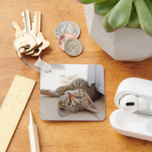 Porte-clés Animaux de bébés cutest   Shorthair Tabby Kitten