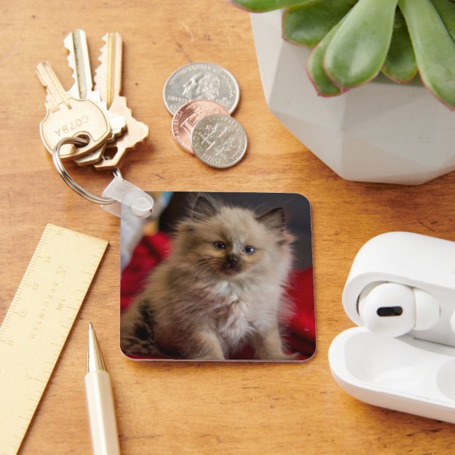Porte-clés Animaux de bébés cutest | Siamese Kitten (Bureau)