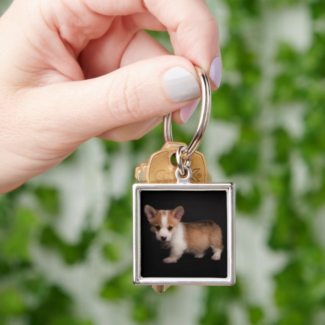 Porte-clés Animaux de bébés cutest | Tiny Corgi (main)