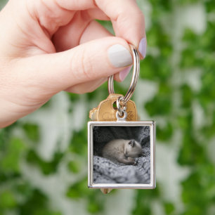 Porte-clés Animaux de bébés cutest Tiny Kitten Dormir
